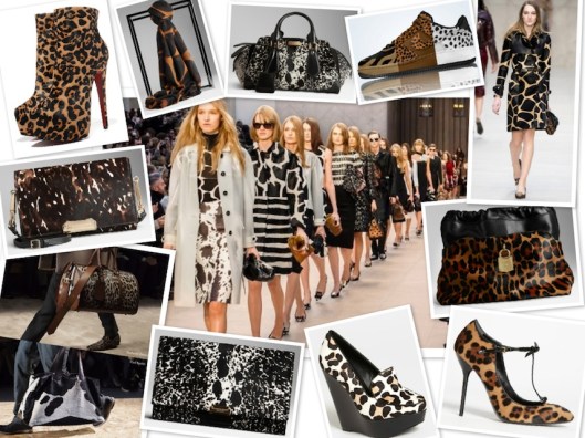 Animal Prints Fall 2013