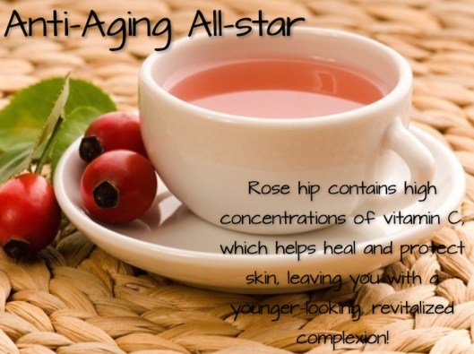 Rose Hip All-Star