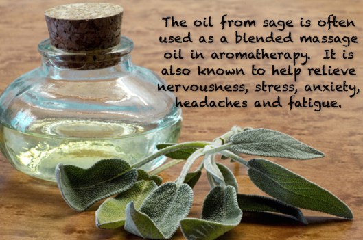 Sage Aromatherapy - Large