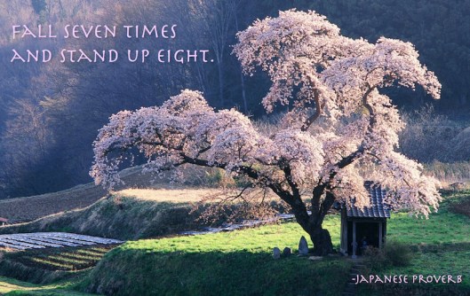 Japanese Proverb
