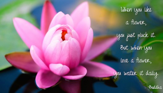 When you Love a Flower-Buddha